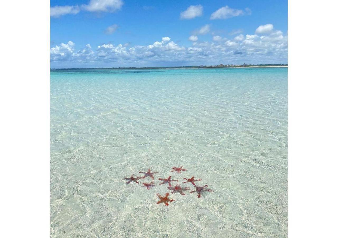 Nyota 11 - Jua Resort วาตามู ภายนอก รูปภาพ